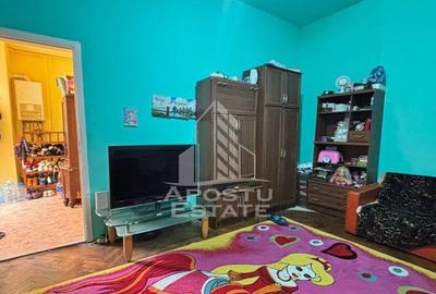 Apartament cu 2 camere semidecomandat, mobilat în Iosefin