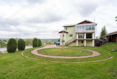 Casă cu 10 camere cu Teren 10116 Mp în Todireni - 4