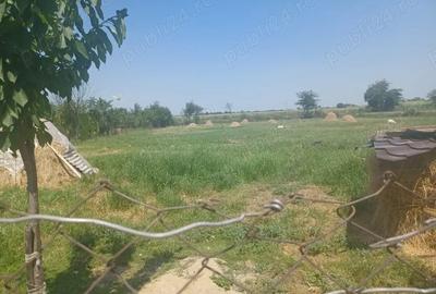 Casă cu 3 camere în Central - 4