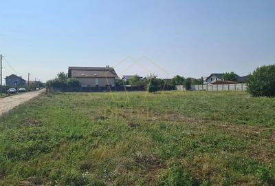 Teren Construcții intravilan de 898 mp, în Dumbrăvița - 3