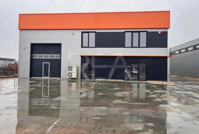 Vanzare Hala noua Chiajna - 5