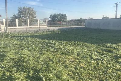 Teren de 4406 mp, în Dulcești - 2