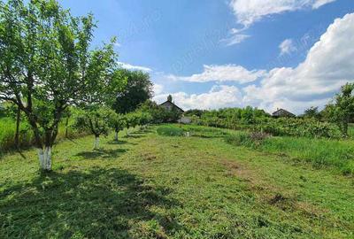 Casă cu 6 camere în Central