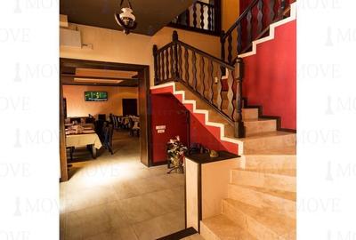 Dacia vila  utilata  pentr restaurant parter etaj curte  terasa 400`mp - 3