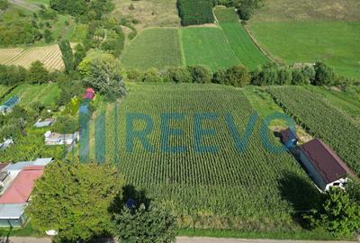 Teren intravilan de vanzare, Sat Bogdan?ti, Com. Traian - 11