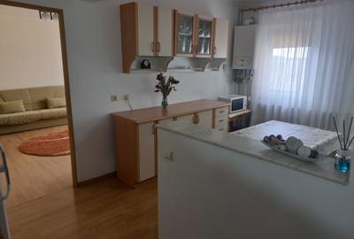 Apartament cu 2 camere semidecomandat în Tudor Vladimirescu - 2