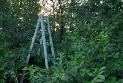 Casă cu 3 camere cu Teren 1550 Mp în Berceni - 3