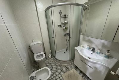 Apartament de inchiriat in zona Bartolomeu - 4