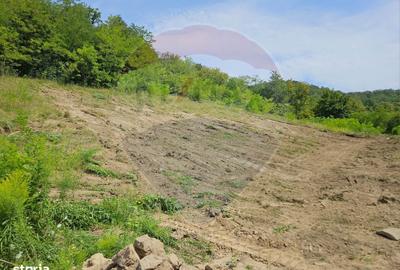 Teren de 1600 mp, în Central - 2