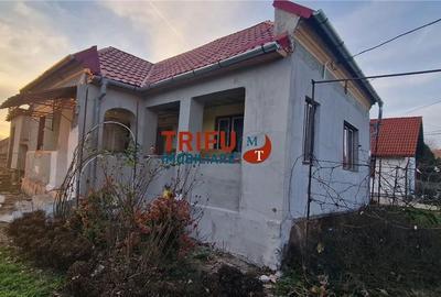 Casă cu 2 camere cu Teren 1100 Mp în Sântimbru - 3