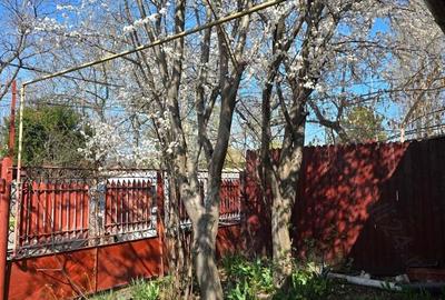 Casă cu 3 camere cu Teren 211 Mp în Dămăroaia - 7