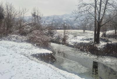 Teren de 9000 mp, în Păușești-Măglași - 2