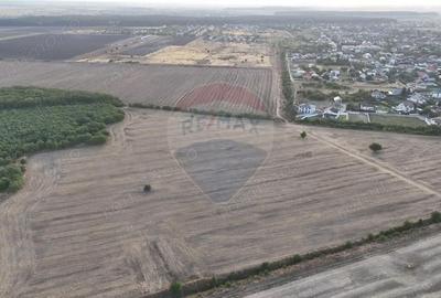 Teren de 40300 mp, în Tamași