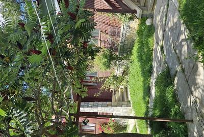 Casa + teren - 2