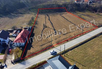 Spațiu comercial, în Valea Brazilor - 3