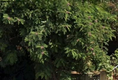 Teren de 2800 mp, în Central - 2