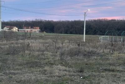 Vila P+1, langa padure, suprafata 200mp, teren 500mp, toate facilitatile - 43