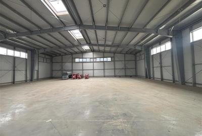 Inchiriere depozit/hala/spatiu industrial Pantelimon - Centura - 7