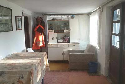 Casa de vanzare la tara - 2