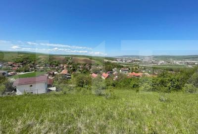 Teren de 5800 mp, în Dezmir - 2