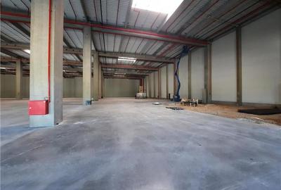 Spatii Industriale - 10000 mp - Logistica - Productie - Depozitare - Distributie - 4