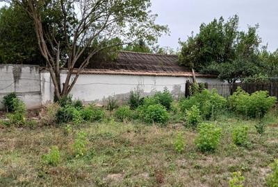 Vladiceasca, Snagov - 2