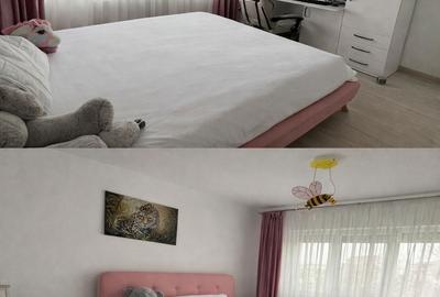 Apartament cu 2 camere decomandat în Brazda lui Novac