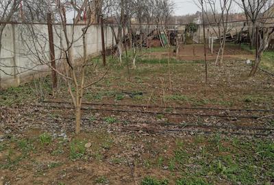 Casă cu 4 camere cu Teren 1400 Mp în Caracal - 5