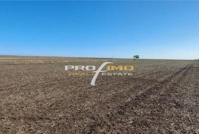 Teren 1600 mp. la cc.1km.de Mare - Eforie Sud-Castelul de Ap - 5