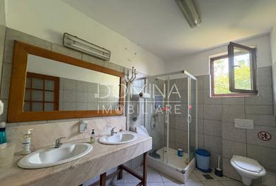 Hala si teren 2,5 ha - infrastructura industriala - 2