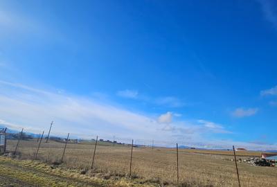 Teren intravilan - Halchiu, construire locuinte individuale - 1