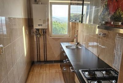 Apartament cu 2 camere decomandat, mobilat în Mănăștur - 4