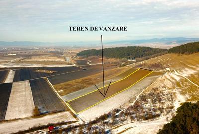Teren in Sanpetru zona Lempes, retras cu panorama deosebita - 4