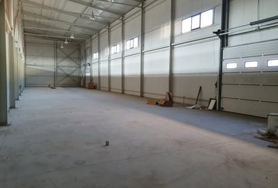Spațiu industrial, de 550 mp, în Afumați - 4