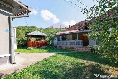Casă cu 4 camere cu Teren 4177 Mp în Munteni - 4