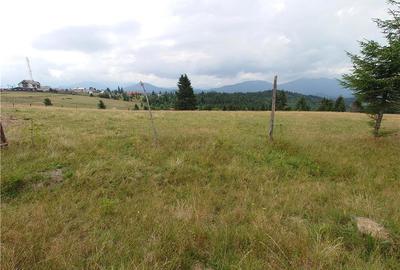Teren de 7000 mp, în Piatra - 4