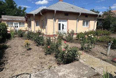 Casă cu Teren 1627 Mp în Colibași - 1