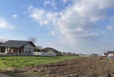 Teren de 1800 mp, în Sud - 3