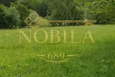 Teren de 5000 mp, în Cerdac - 3