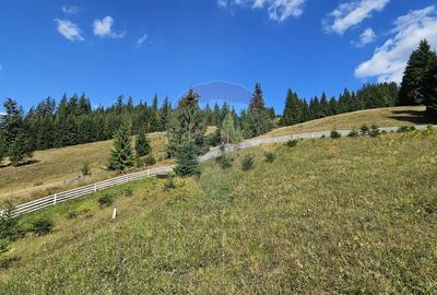 Casă individuală cu 3 camere cu Garaj în Dorna-Arini - 58