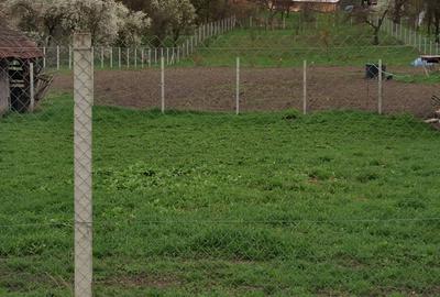 Teren de 3000 mp, în Călărași - 3