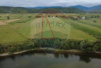 Teren superb Unciuc / jud.Hunedoara - 12