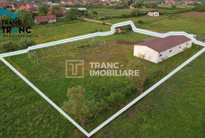 Spațiu industrial, de 317 mp, în Ususău - 3