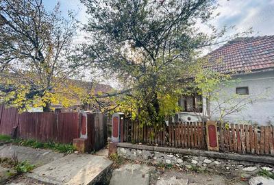 Vand casa traditionala autentica in sat Milostea, judet Valcea, perisaje frumoase, zona linistita - 1