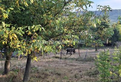 Teren spectaculos cu padure, livada si priveliste panoramica in Soimari PH - 9