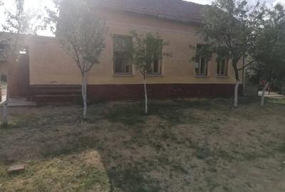 Casa de Vanzare Arad com. ?iclau. - 4