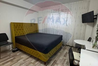 Garsoniera decomandata, 32mp, Brazda lui Novac, bloc 2023 - 6