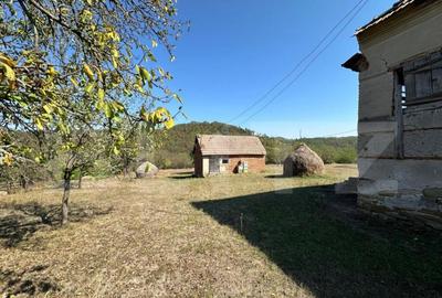 Teren intravilan de vanzare 14000mp,ideal pentru investitie, - 7