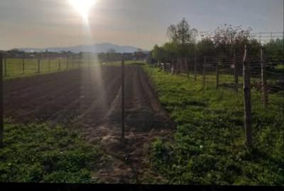 Teren de 720 mp, în Central