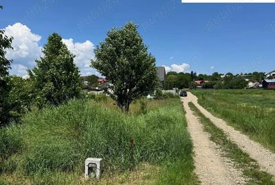 500 mp intravilan Turturesti - 3